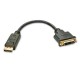Lindy 41004 adaptador de cable de vídeo 0,15 m DisplayPort DVI-D Negro